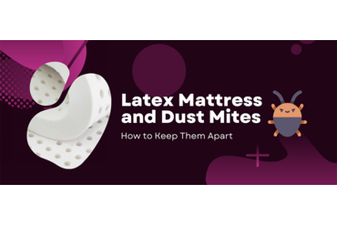 Latex Mattress and Dust Mites: How to Keep Them Apart