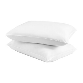 Hollowfill Pillow