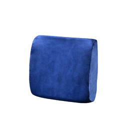 USpine Back Suppport Latex Pillow